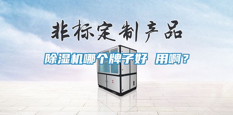除濕機(jī)哪個(gè)牌子好 用啊？
