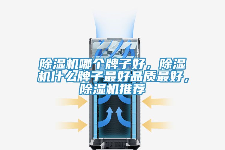 除濕機(jī)哪個(gè)牌子好，除濕機(jī)什么牌子最好品質(zhì)最好，除濕機(jī)推薦