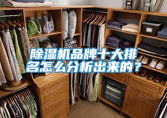 除濕機(jī)品牌十大排名怎么分析出來的？