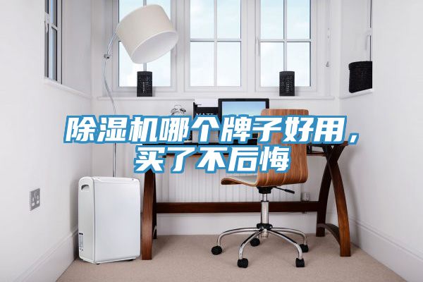 除濕機(jī)哪個(gè)牌子好用，買了不后悔