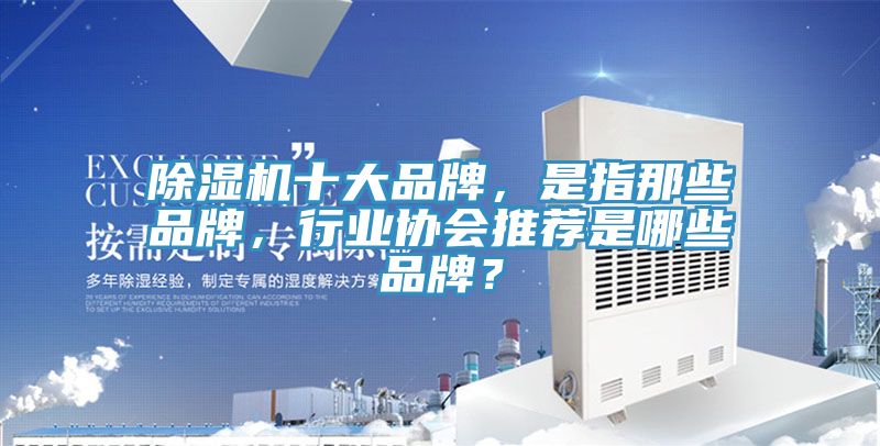 除濕機(jī)十大品牌，是指那些品牌，行業(yè)協(xié)會(huì)推薦是哪些品牌？