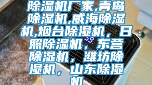 除濕機(jī)廠家,青島除濕機(jī),威海除濕機(jī),煙臺除濕機(jī)，日照除濕機(jī)，東營除濕機(jī)，濰坊除濕機(jī)，山東除濕機(jī)