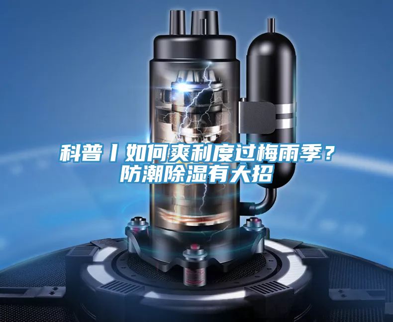 科普丨如何爽利度過(guò)梅雨季？防潮除濕有大招