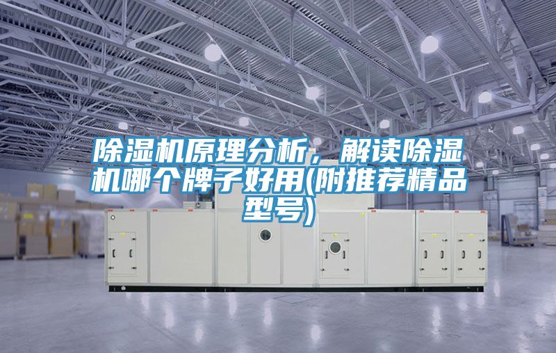 除濕機原理分析，解讀除濕機哪個牌子好用(附推薦精品型號)