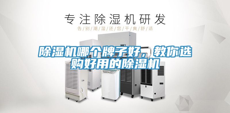 除濕機(jī)哪個(gè)牌子好，教你選購(gòu)好用的除濕機(jī)