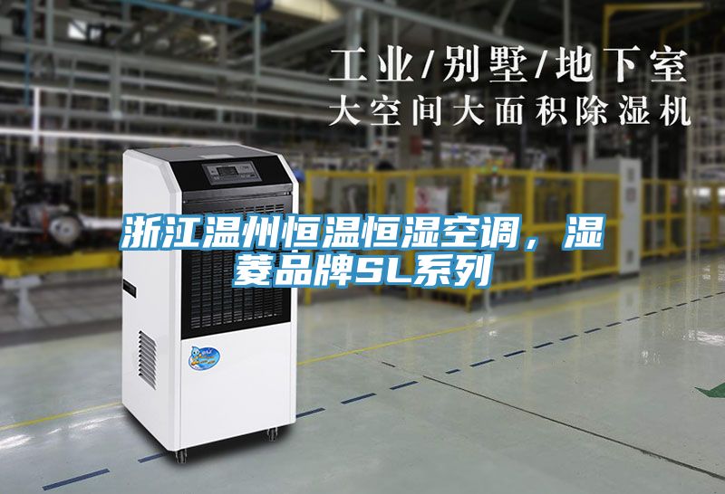 浙江溫州恒溫恒濕空調(diào)，濕菱品牌SL系列