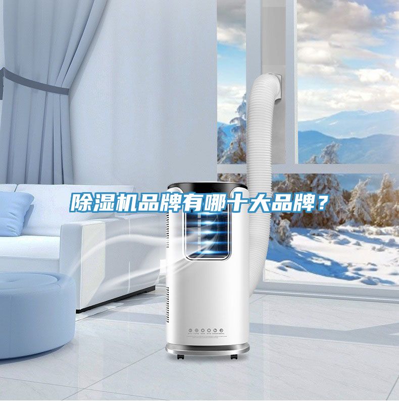 除濕機(jī)品牌有哪十大品牌？