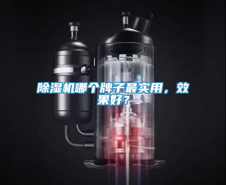 除濕機(jī)哪個(gè)牌子最實(shí)用，效果好？