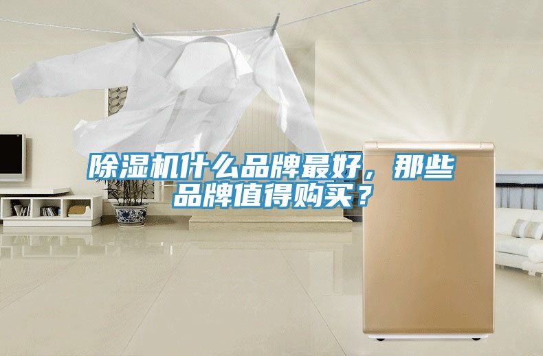 除濕機(jī)什么品牌最好，那些品牌值得購(gòu)買？