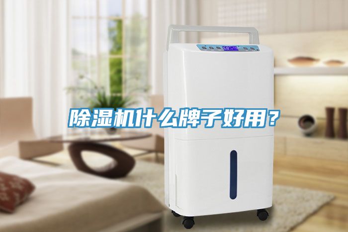 除濕機什么牌子好用？