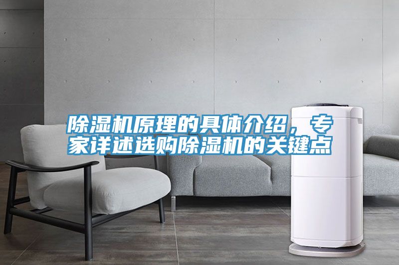除濕機(jī)原理的具體介紹，專家詳述選購(gòu)除濕機(jī)的關(guān)鍵點(diǎn)