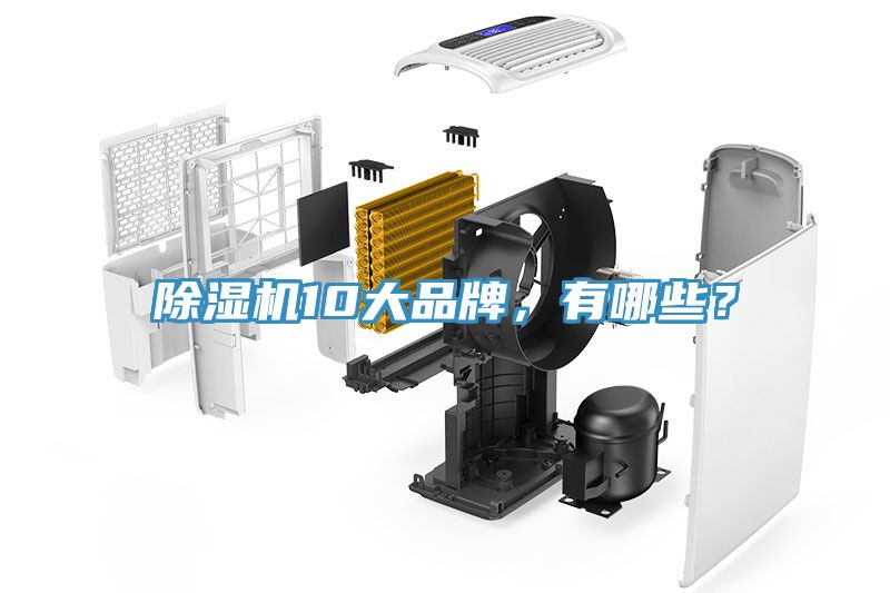 除濕機(jī)10大品牌，有哪些？