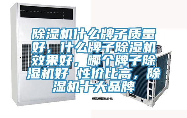 除濕機(jī)什么牌子質(zhì)量好，什么牌子除濕機(jī)效果好，哪個(gè)牌子除濕機(jī)好 性價(jià)比高，除濕機(jī)十大品牌