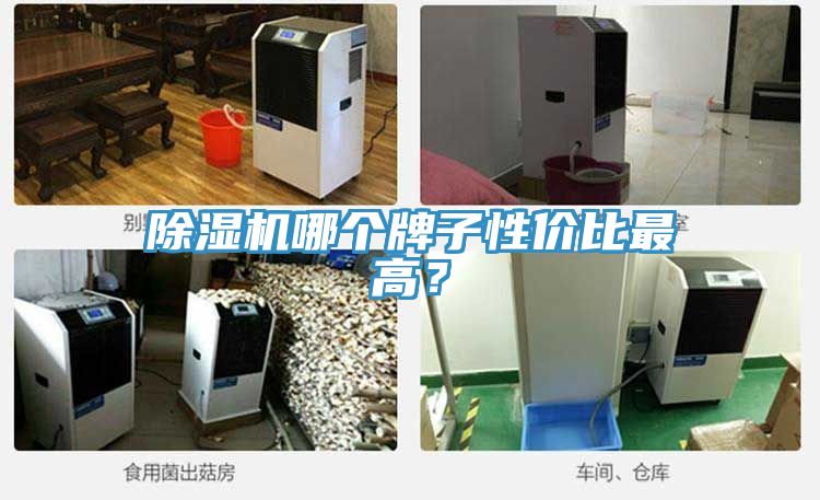 除濕機哪個牌子性價比最高？