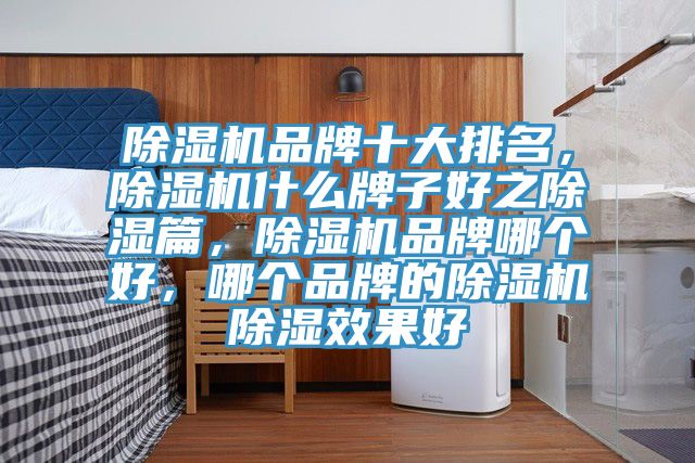 除濕機品牌十大排名，除濕機什么牌子好之除濕篇，除濕機品牌哪個好，哪個品牌的除濕機除濕效果好