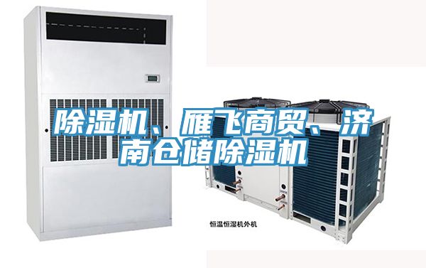 除濕機、雁飛商貿(mào)、濟南倉儲除濕機