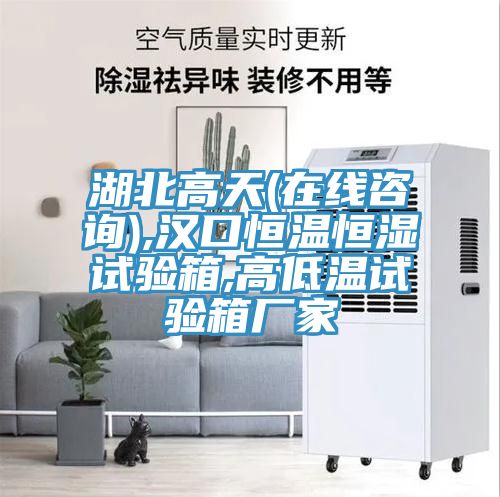 湖北高天(在線(xiàn)咨詢(xún)),漢口恒溫恒濕試驗(yàn)箱,高低溫試驗(yàn)箱廠家