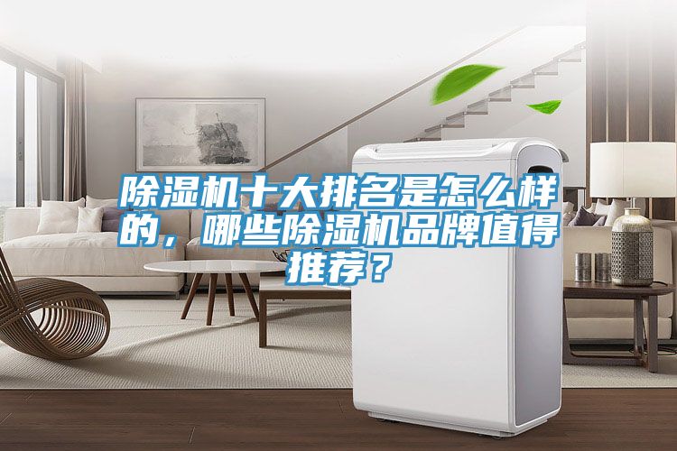 除濕機(jī)十大排名是怎么樣的，哪些除濕機(jī)品牌值得推薦？