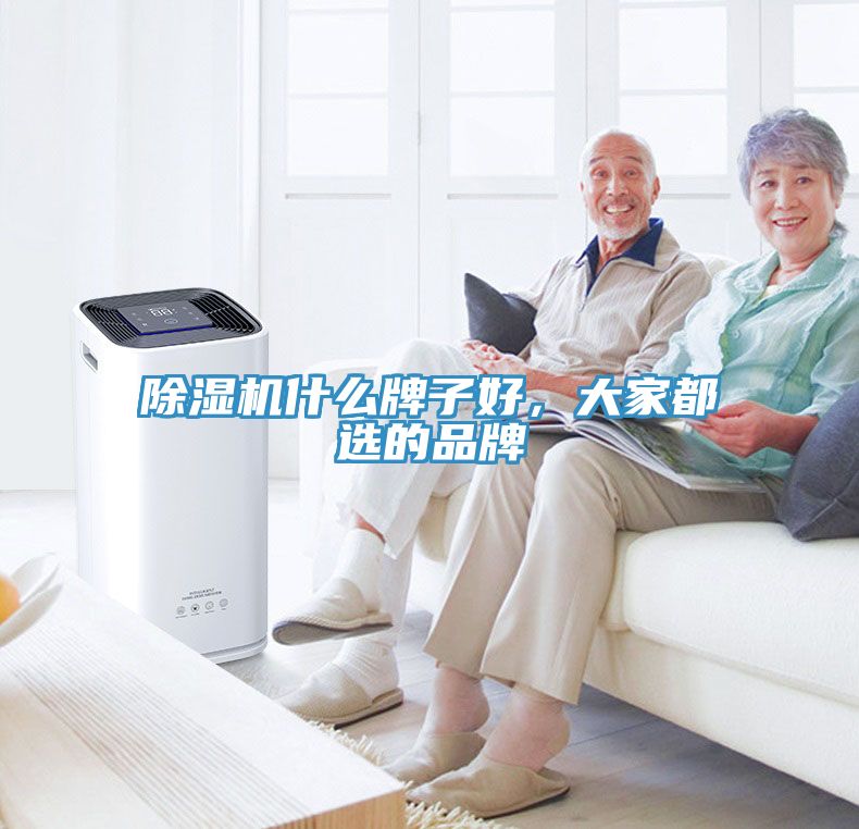 除濕機什么牌子好，大家都選的品牌