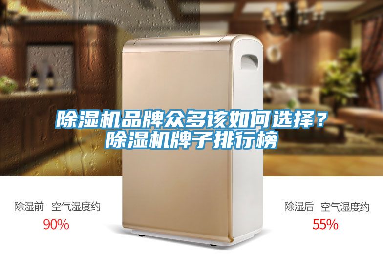 除濕機(jī)品牌眾多該如何選擇？除濕機(jī)牌子排行榜