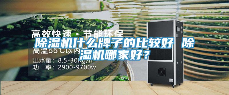 除濕機什么牌子的比較好 除濕機哪家好？