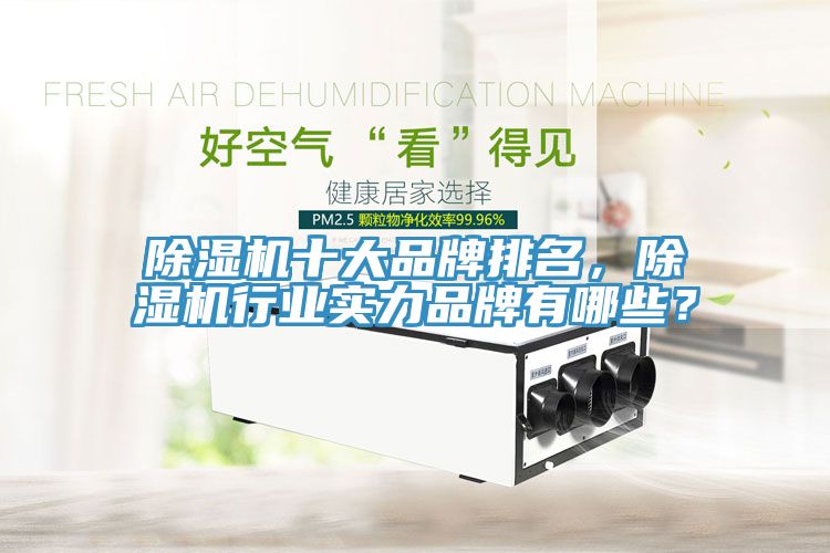 除濕機十大品牌排名，除濕機行業(yè)實力品牌有哪些？