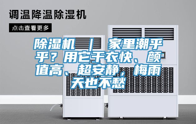 除濕機 ｜ 家里潮乎乎？用它干衣快、顏值高、超安靜，梅雨天也不愁
