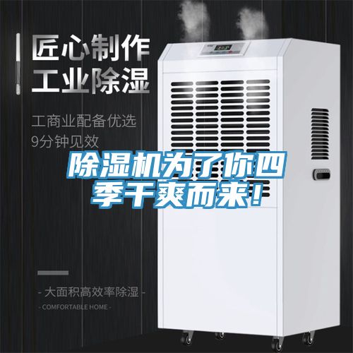 除濕機(jī)為了你四季干爽而來！