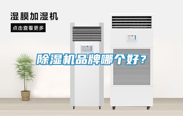 除濕機品牌哪個好？