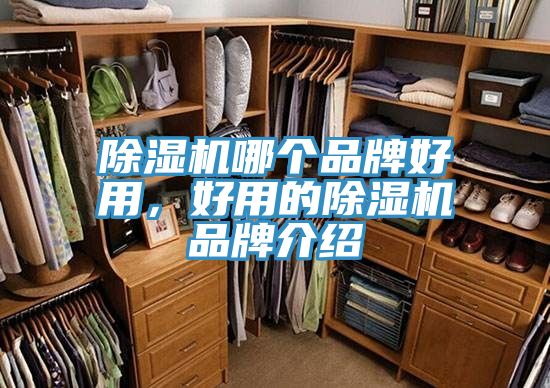 除濕機(jī)哪個(gè)品牌好用，好用的除濕機(jī)品牌介紹