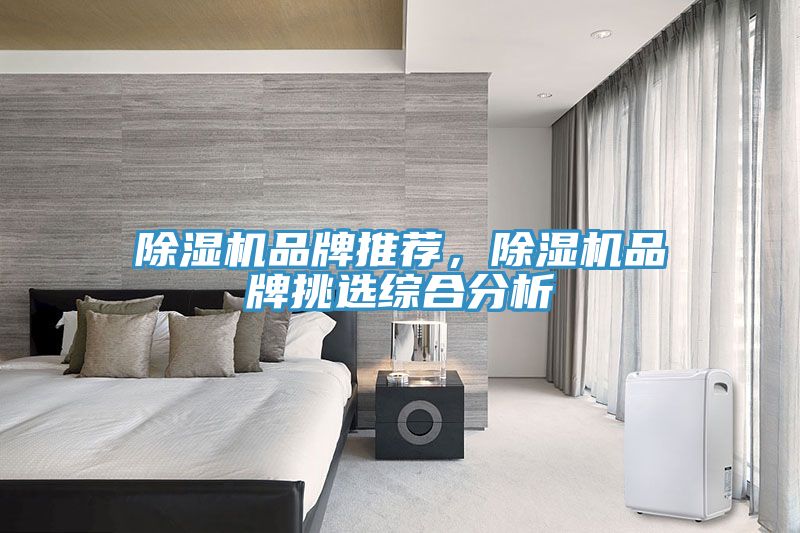 除濕機品牌推薦，除濕機品牌挑選綜合分析