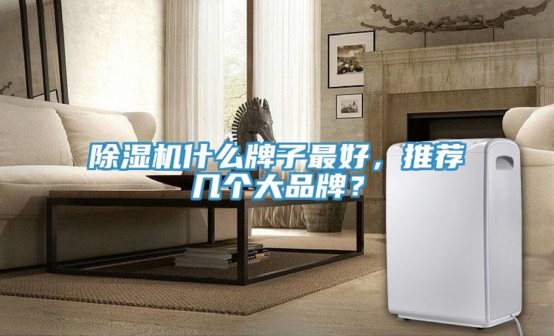 除濕機什么牌子最好，推薦幾個大品牌？