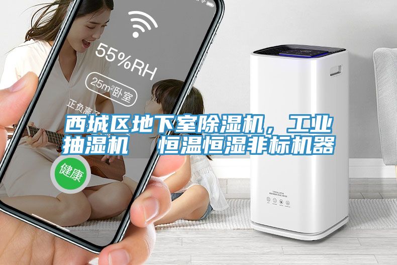 西城區(qū)地下室除濕機(jī)，工業(yè)抽濕機(jī)  恒溫恒濕非標(biāo)機(jī)器
