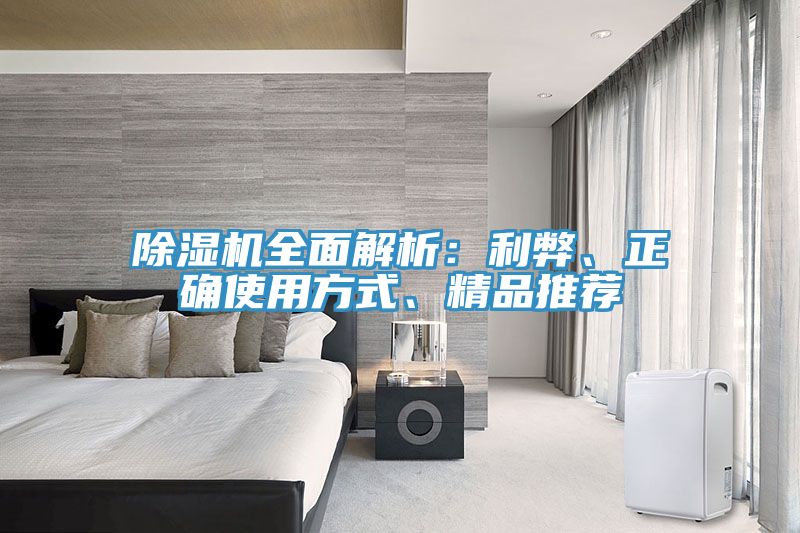 除濕機全面解析：利弊、正確使用方式、精品推薦
