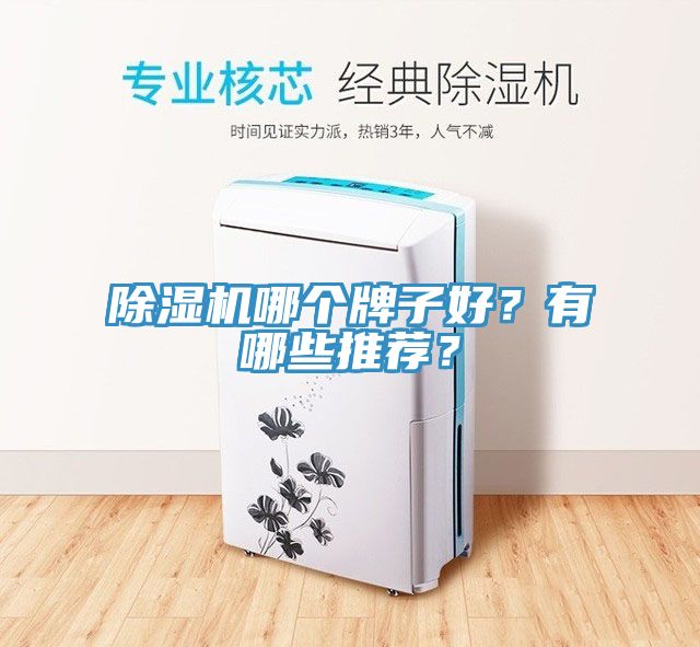 除濕機哪個牌子好？有哪些推薦？