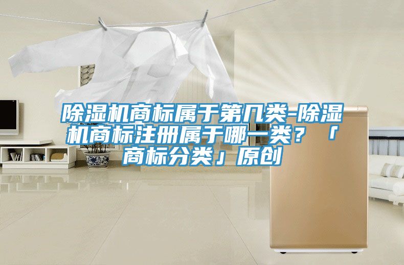 除濕機商標(biāo)屬于第幾類-除濕機商標(biāo)注冊屬于哪一類？「商標(biāo)分類」原創(chuàng)