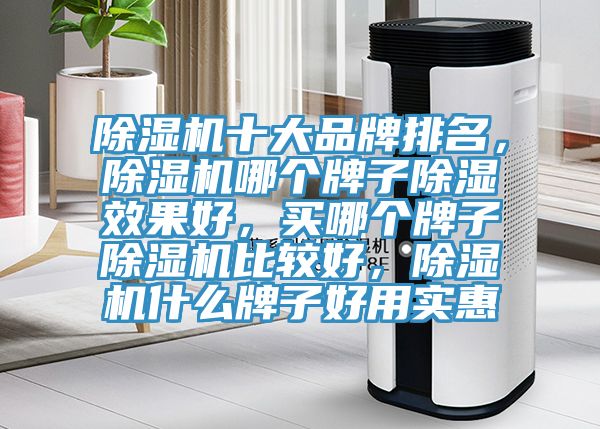 除濕機十大品牌排名，除濕機哪個牌子除濕效果好，買哪個牌子除濕機比較好，除濕機什么牌子好用實惠