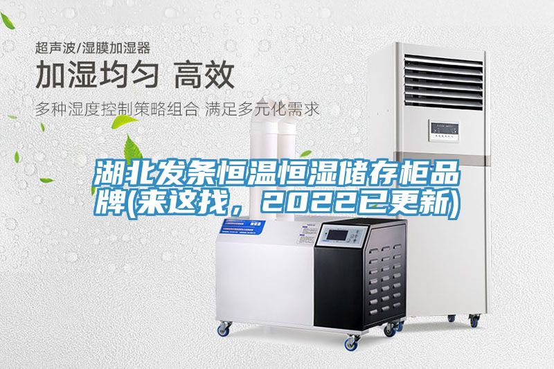 湖北發(fā)條恒溫恒濕儲(chǔ)存柜品牌(來(lái)這找，2022已更新)