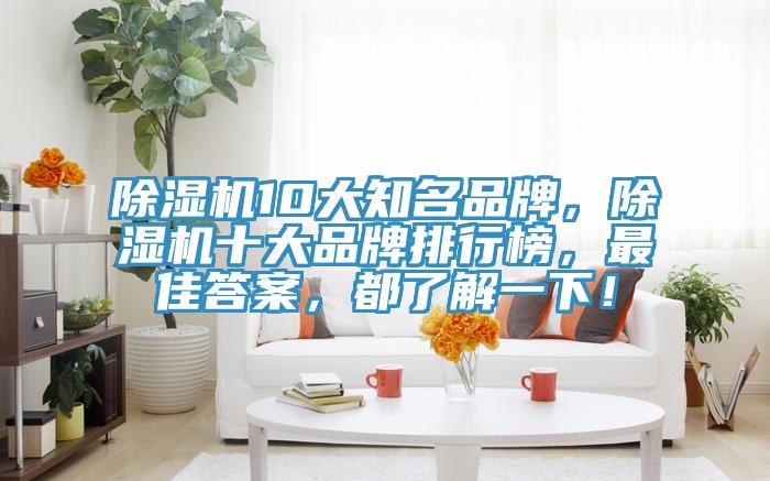 除濕機(jī)10大知名品牌，除濕機(jī)十大品牌排行榜，最佳答案，都了解一下！