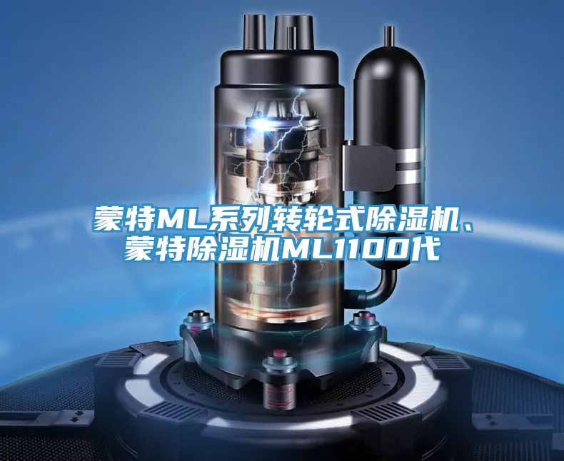 蒙特ML系列轉(zhuǎn)輪式除濕機(jī)、蒙特除濕機(jī)ML1100代