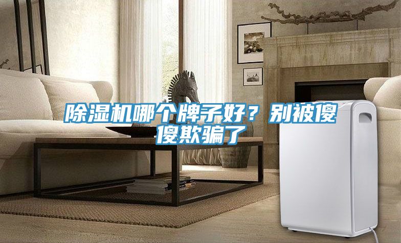 除濕機哪個牌子好？別被傻傻欺騙了