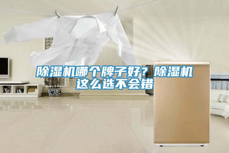 除濕機哪個牌子好？除濕機這么選不會錯
