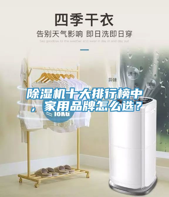 除濕機(jī)十大排行榜中，家用品牌怎么選？