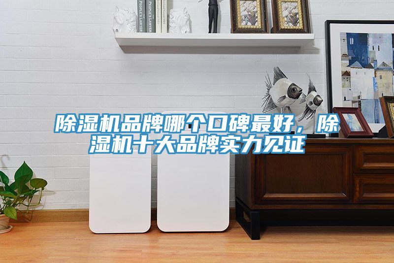 除濕機品牌哪個口碑最好，除濕機十大品牌實力見證