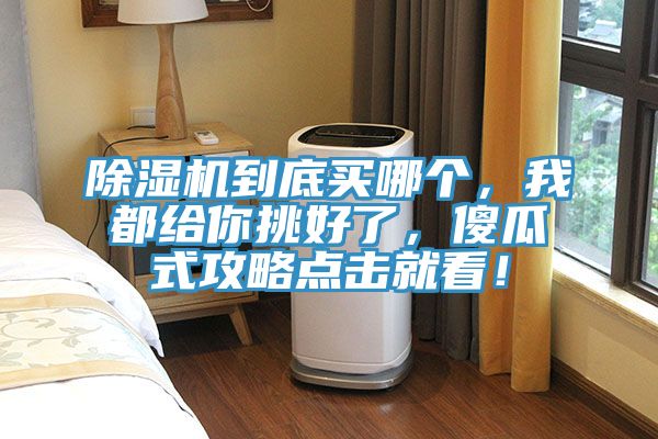 除濕機(jī)到底買哪個(gè)，我都給你挑好了，傻瓜式攻略點(diǎn)擊就看！