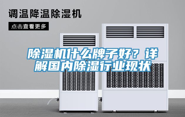 除濕機什么牌子好？詳解國內(nèi)除濕行業(yè)現(xiàn)狀