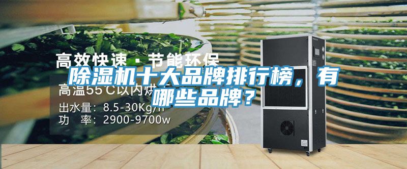 除濕機十大品牌排行榜，有哪些品牌？