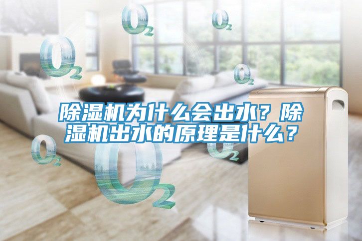 除濕機(jī)為什么會出水？除濕機(jī)出水的原理是什么？
