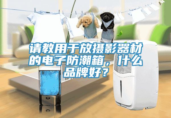 請教用于放攝影器材的電子防潮箱，什么品牌好？