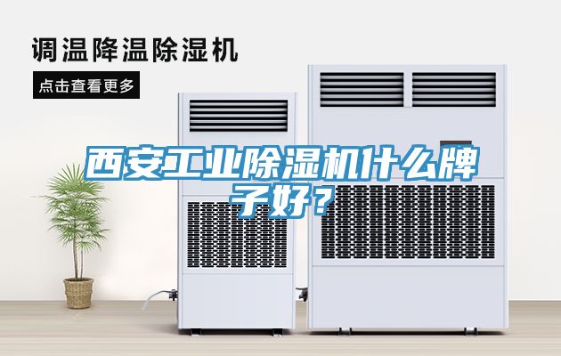 西安工業(yè)除濕機(jī)什么牌子好？